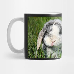 Bungee Mug